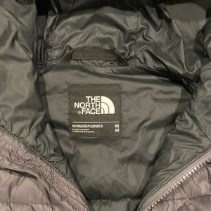 The north face parka